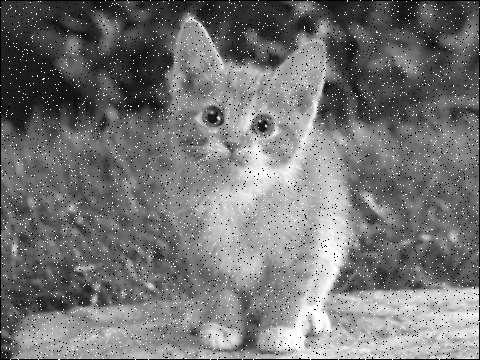 经过椒盐噪声处理过后的图片