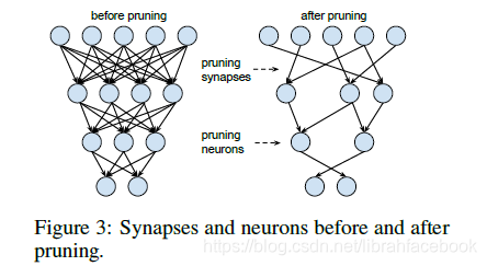 剪枝前后的神经元以及突触