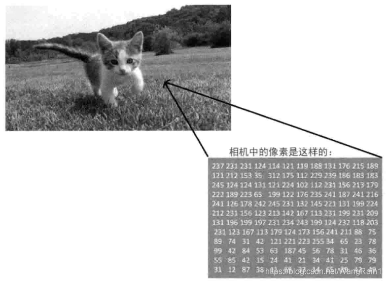 Opencv Bitmap OpenCv NDK 银行卡/身份证号识别(2) Bitmap和Mat相互转化_android 身份证识别opencv-CSDN博客