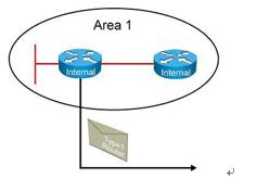 Type1 LSA报文传递范围