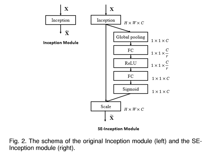 Squeeze-and-Excitation Networks-CSDN博客