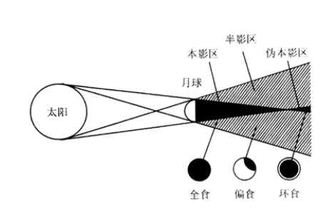 为什么影子会相互吸引像乌鸦一样思考