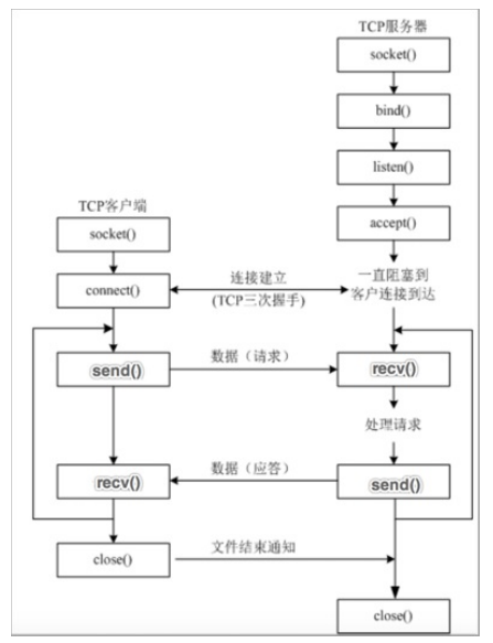 TCP程序开发流程