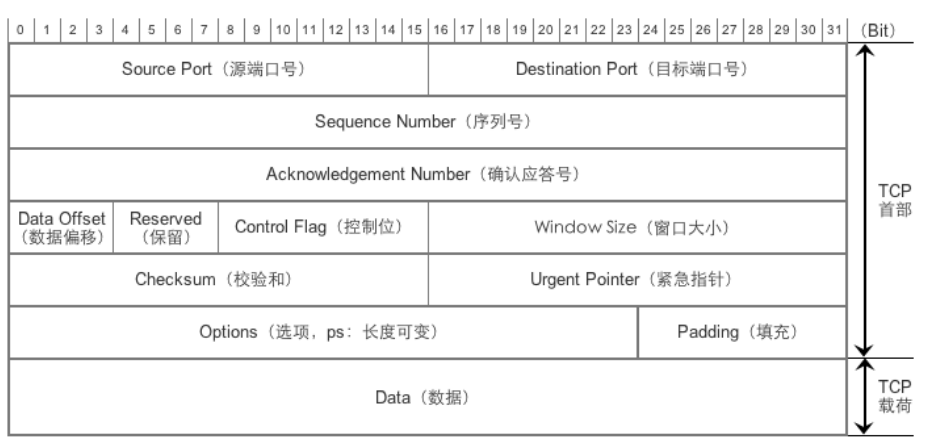 TCP Header、UDP Header、IP Header-CSDN博客