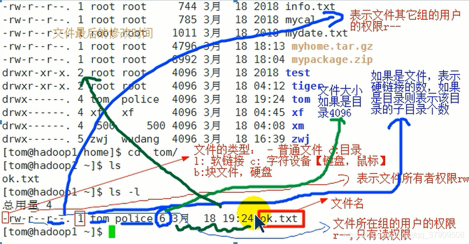 Linux深入浅出--5.权限管理、rwx权限详解及crond任务调度及Linux磁盘分区、挂载_rwx详解-CSDN博客