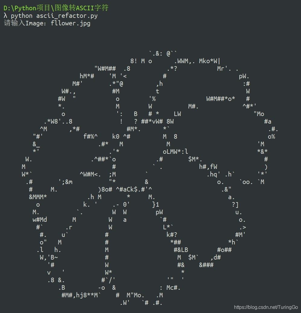 Python实现图片换ASCII文本图像_ascii转png-CSDN博客