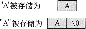 图 3 字符和字符串不同的存储方式