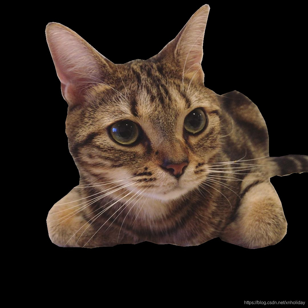 python给图像加上mask,并提取mask区域_python给指定区域加mask-CSDN博客