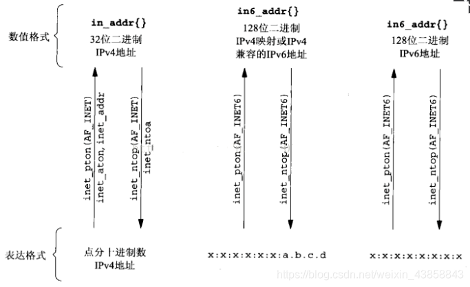 inet_ntop()、inet_pton()、inet_addr()、inet_ntoa()函数之间的关系_inetntoa函数-CSDN博客