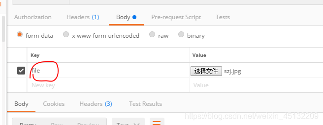 注意file文件填写