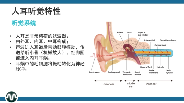 音频声学基础三，人耳听觉特性-CSDN博客
