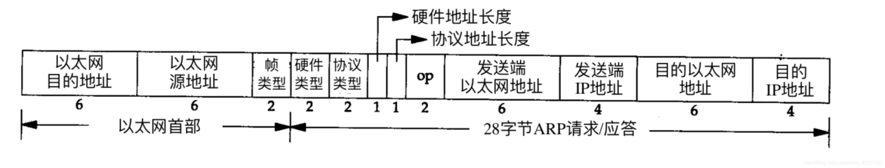 arp分组帧格式