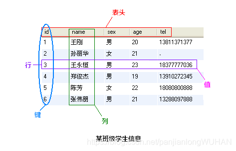 21分钟 MySQL 入门教程 笔记