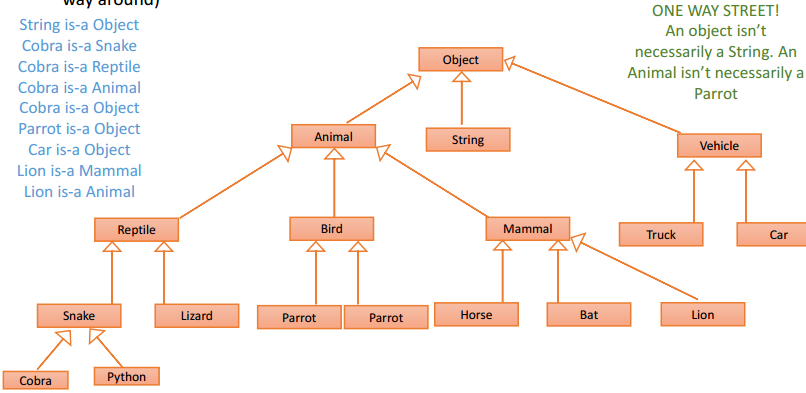 Course Note: The Object Class,Class Hierarchies_all classes are ...