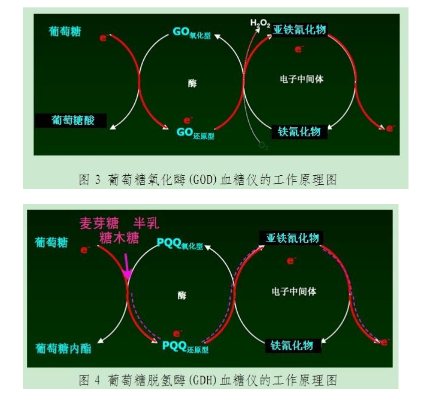 血糖仪测试原理