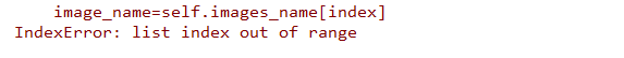 IndexError: list index out of range  image_name=self.images_name[index]