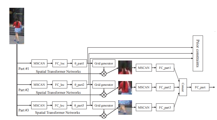 MSCAN：Learning Deep Context-aware Features over Body and Latent Parts ... image.