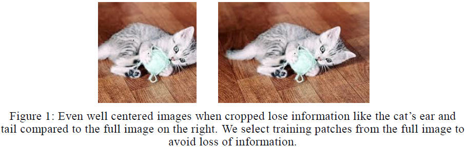 文献阅读 - Some Improvements on Deep Convolutional Neural Network Based ...