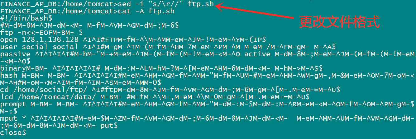 Shell脚本执行报错 Bin Bash M Bad Interpreter No Such File Or Directory 秋华 博客园