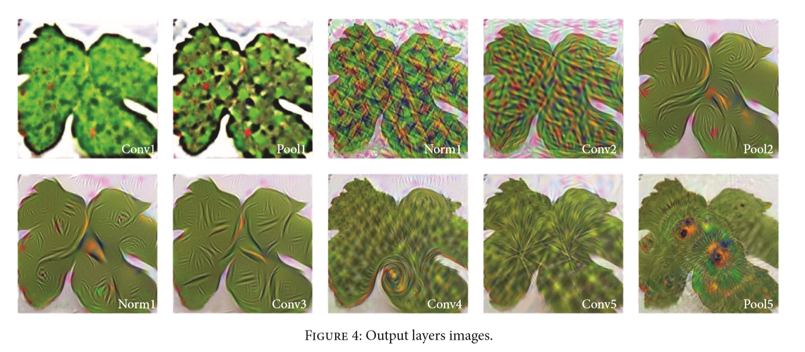 【论文阅读】Deep Neural Networks Based Recognition of Plant Diseases by Leaf ...