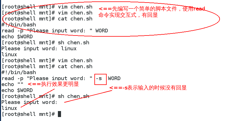 Shell中交互式变量 Read Qi Jie的博客 Csdn博客