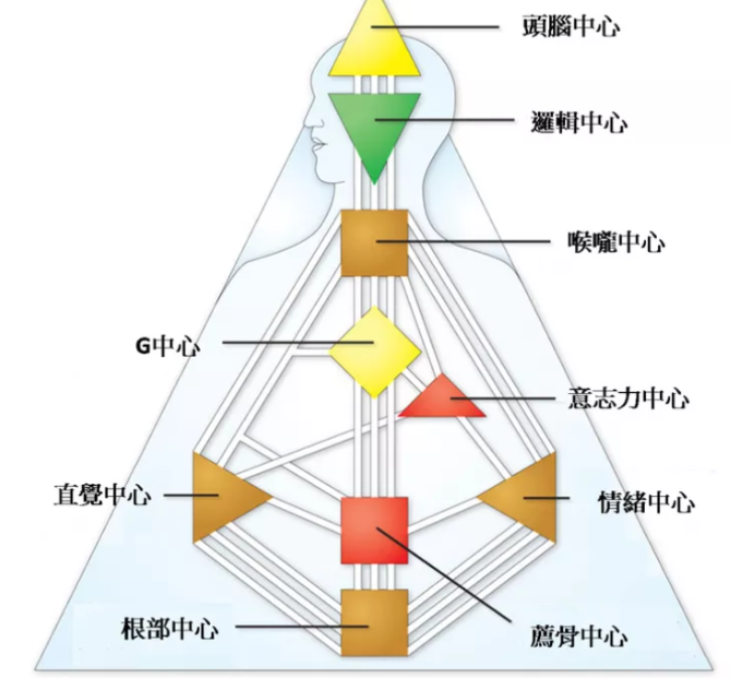 全网最全的人类图解析 上 九大能量中心与64道闸门 Nikki O3o的博客 Csdn博客 人类图