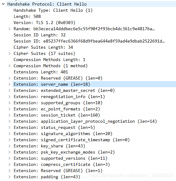pcap包结构&SNI字段的解析-CSDN博客