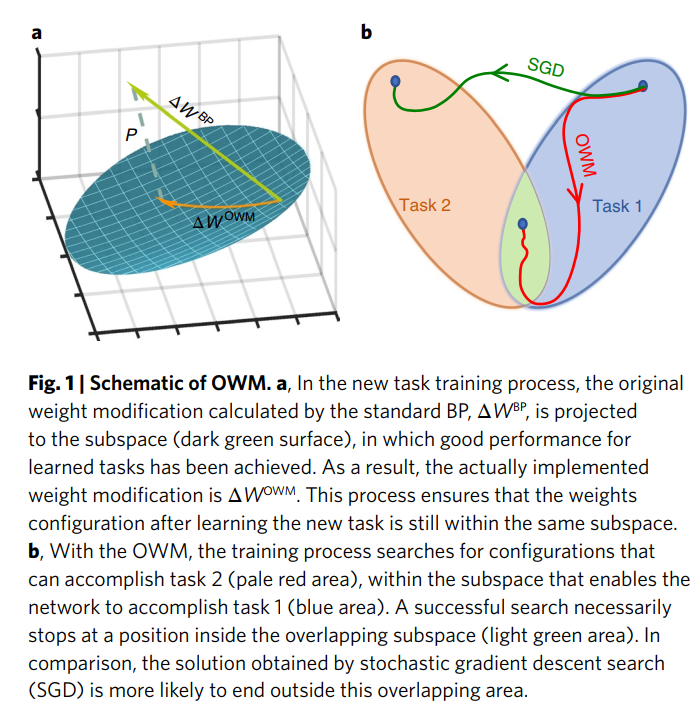 2019-Continual learning of context-dependent processing in neural networks神经网络中情境相关处理的连续学习-正交权重修改OWM[通俗易懂]