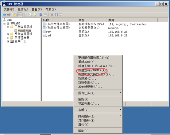 server2008服务器dns安装_server2012r2最好用 (https://mushiming.com/)  第21张