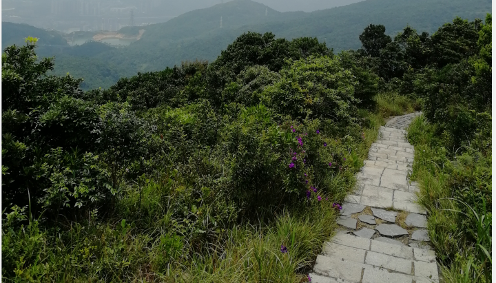 梅沙尖山海大观登山口图片