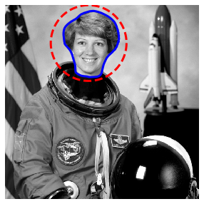 astronaut:Active Contour Mode - Snake