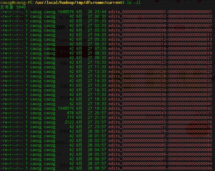 Hadoop HDFS concept and view fsimage and edit log files - Programmer Sought