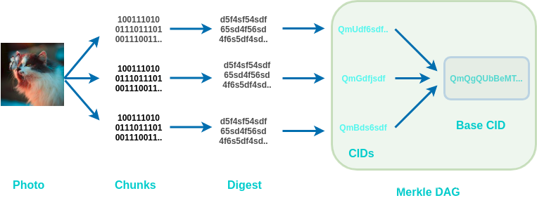 Large files are chunked, hashed, and organized into an IPLD (Merkle DAG object)