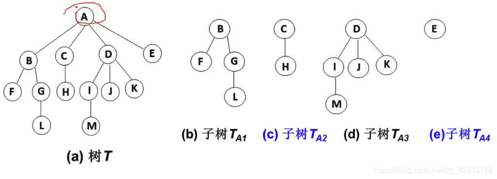 树与其子树