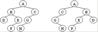 同构的两棵树