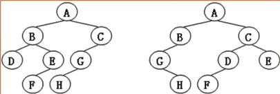 不是同构的两棵树