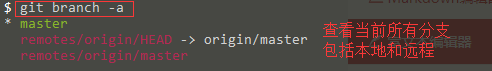 查看当前所有分支