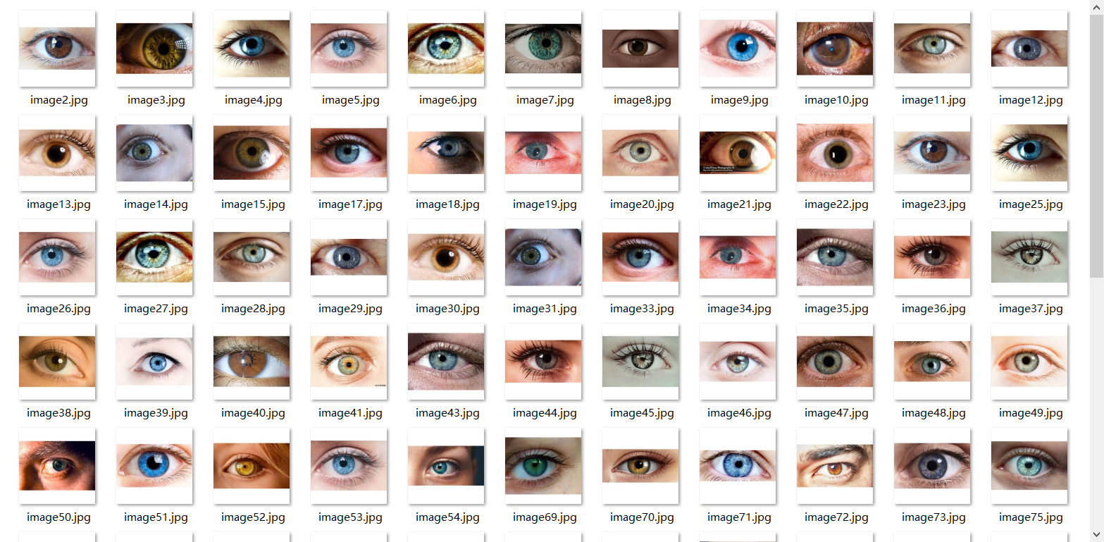 主要步骤:找到眼睛数据标注眼球mask图图片修改到指定大小(224x224)