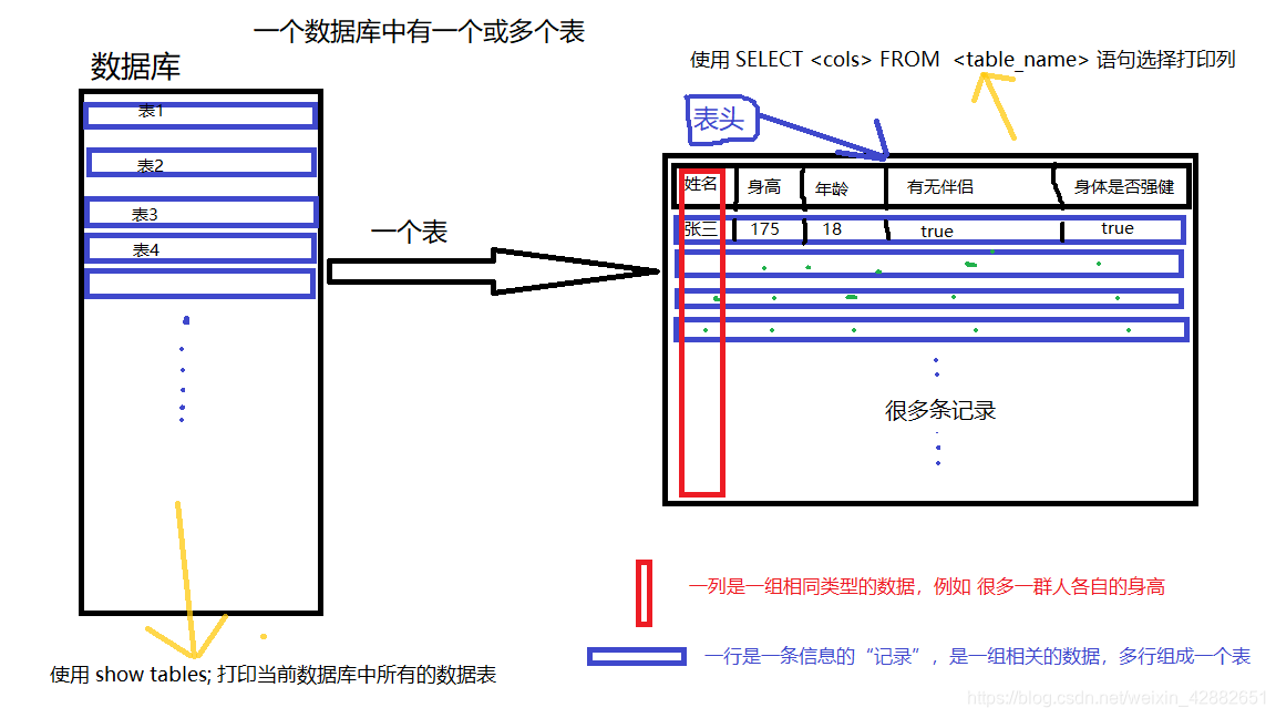 数据库存储结构示意