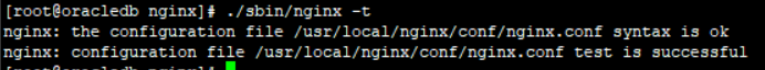 nginx success