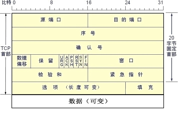 TCP报文格式