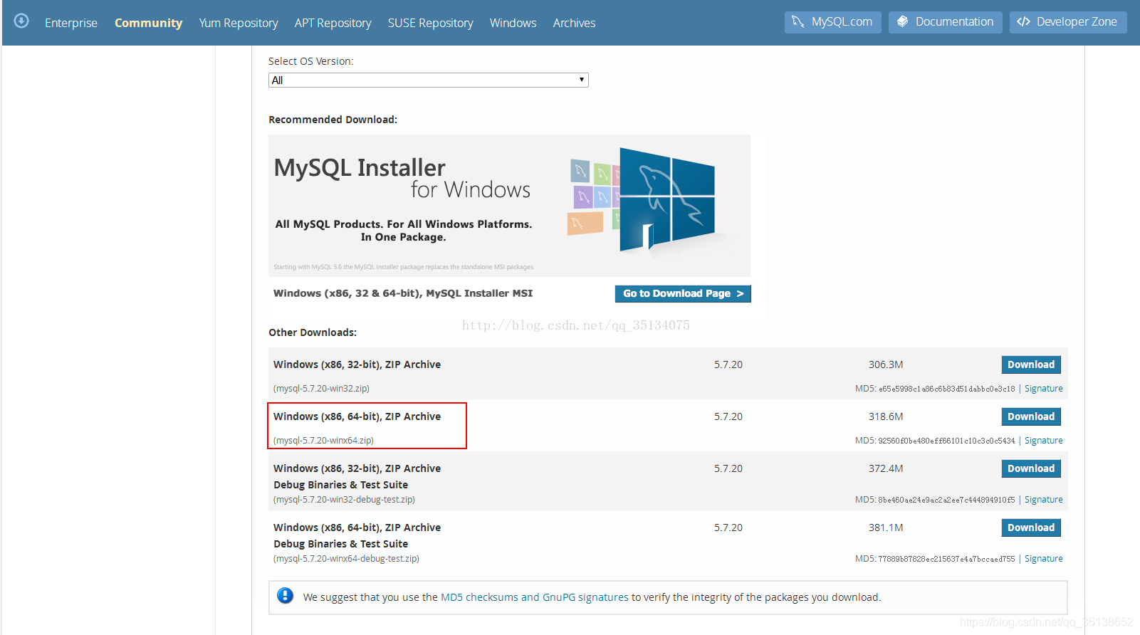 MySQL安装详细教程(带有my.ini文件)_mysql 安装 ini-CSDN博客