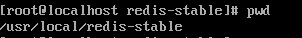 /usr/local/redis-stable