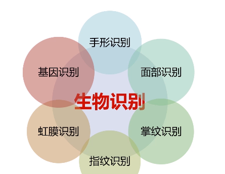 人口问题检测_人口问题