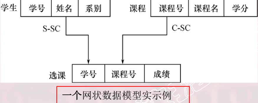 网状数据模型示例