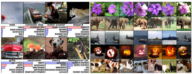 基于卷积神经网络的ImageNet分类器_imagenet分辨率_handsome programmer的博客-CSDN博客