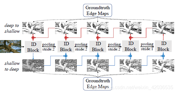 BDCN Structure