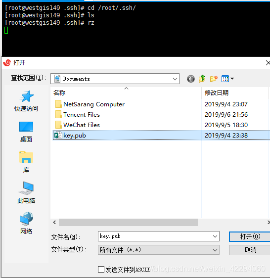 pc登录服务器 watermark,type_ZmFuZ3poZW5naGVpdGk,shadow_10,text_aHR0cHM6Ly9ibG9nLmNzZG4ubmV0L3dlaXhpbl80MjI5NDA2MA==,size_16,color_FFFFFF,t_70