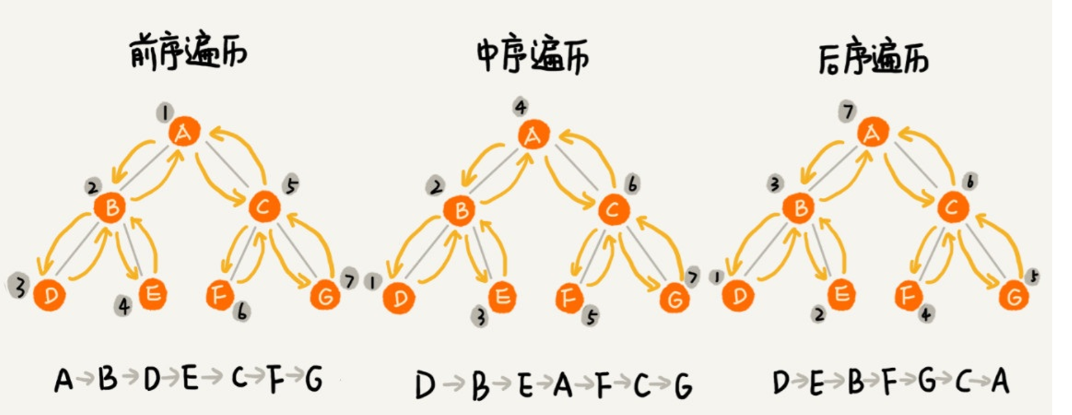 二叉树基础（上）：什么样的二叉树适合用数组来存储？