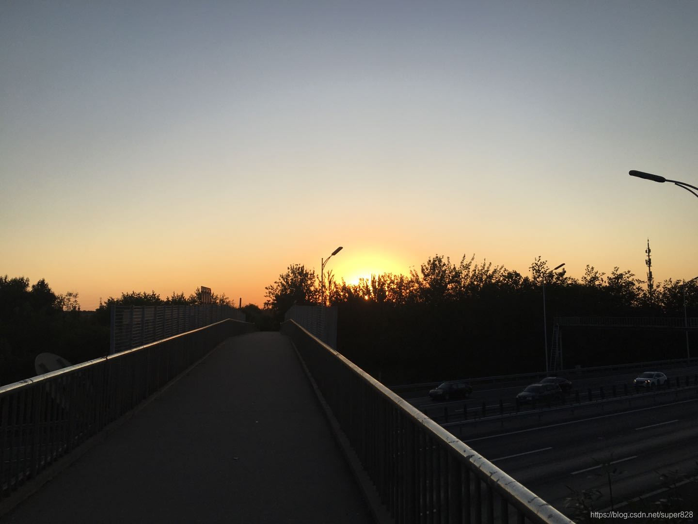 早起的故事-为什么早起?怎么早起?早起做什么?